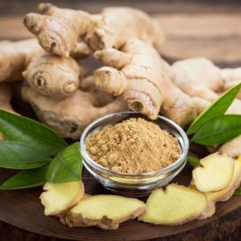 Ginger Root Benefits and Information