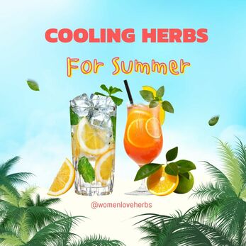 Cooling Herbs to Beat the Summer Heat