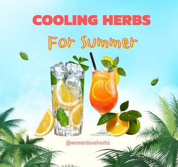 Cooling Herbs to Beat the Summer Heat