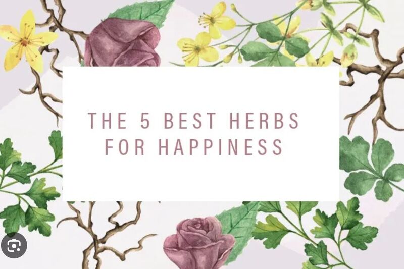 Exploring Herbs for Happiness